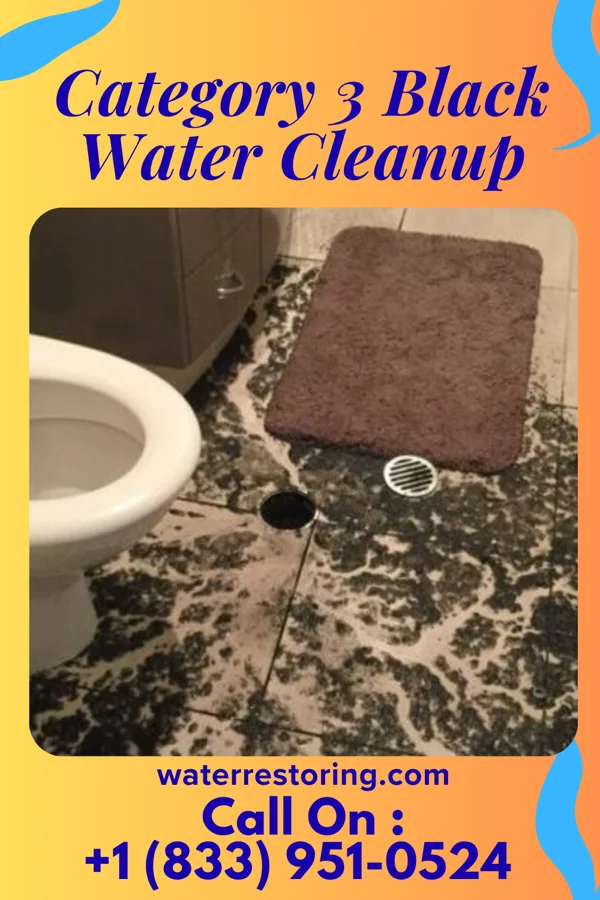 Category 3 Black Water Cleanup in Glenview, KY