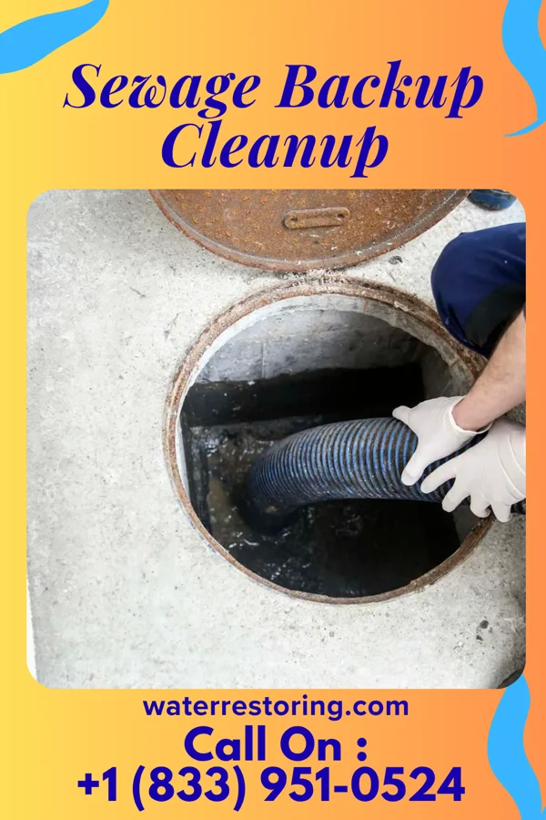Sewage Backup Cleanup in Glenview, KY