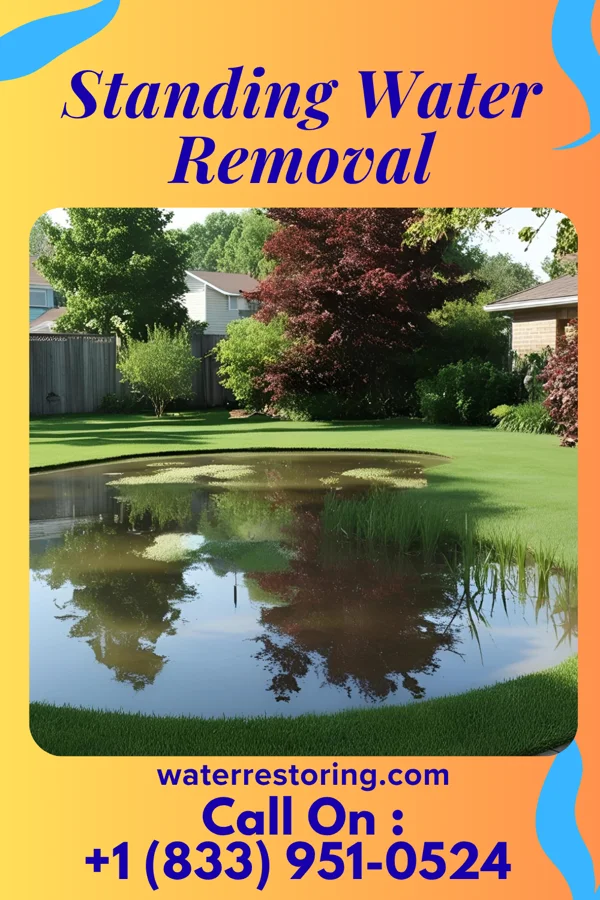 Standing Water Removal in Glenview, KY